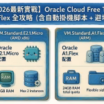 Oracle Cloud Free Tier A1 Flex 搶機教學 2026｜Terraform 自動掛機全攻略